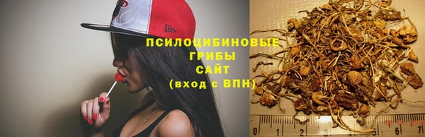 спиды Пенза