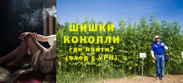 эйфоретик Белокуриха