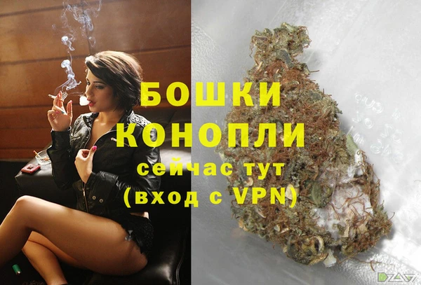 эйфоретик Белокуриха