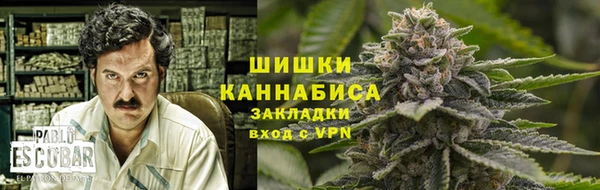 эйфоретик Белокуриха