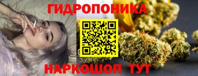 эйфоретик Камышлов