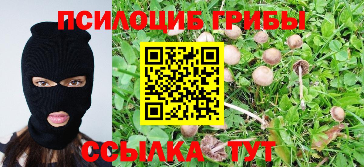 Галлюциногенные грибы ЛСД Бирск