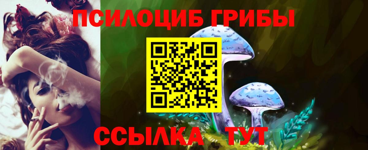 Псилоцибиновые грибы Magic Shrooms  закладка  Галлюциногенные грибы GOLDEN TEACHER  Бирск 